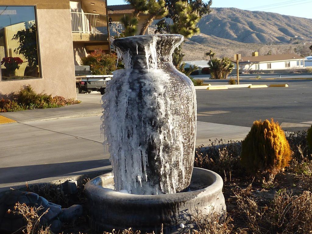 Travelodge Inn & Suites By Wyndham Yucca Valley/Joshua Tree Exteriér fotografie